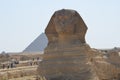 Beautiful profile of the Great Sphinx Royalty Free Stock Photo