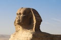 Beautiful profile of the Sphinx pyramid on sunrise. Royalty Free Stock Photo