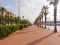 Beautiful promenade in Alicante. View of palm trees and port. Spain