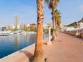 Beautiful promenade in Alicante. View of palm trees and port. Spain
