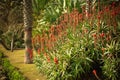 Beautiful promenade garden