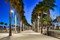 Beautiful promenade with palm trees at the Valencia marina at dawn, Spain