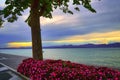 beautiful promenade pier of Bardolino, lake Garda with pink flowers, tree, blue water and sunset Royalty Free Stock Photo