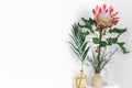 Beautiful protea flower on a white background isolated. Royalty Free Stock Photo