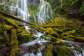 Beautiful proxy falls in Oregon forest Royalty Free Stock Photo
