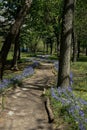 Beautiful public city park with footpath. Spring in park, green Lawn with trail, flowers and trees