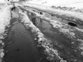 Beautiful puddles with ice crust, snow and reflection in winter or spring