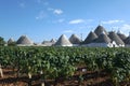Beautiful Puglia landscape with traditional old Trullo or Trulli houses with vineyard, Puglia, Italy