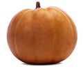 The Beautiful Pumpkin is isolated over white and transparent background (Optional PNG file).