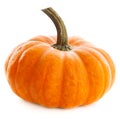 Beautiful pumpkin on white background