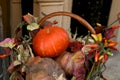 Beautiful pumpkins in a basket. Halloween holiday concept.