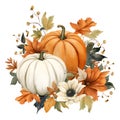 Beautiful pumpkins floral arrangement in rustic style. Watercolor painted pumpkin with flowers and leaves, isolated on