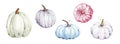 Beautiful pumpkins on isolated white background.