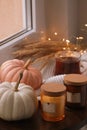 Beautiful pumpkins, tea and scented candles on window sill indoors, space for text