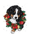 A beautiful puppy in a Christmas wreath. Vector illustration. A pedigree dog in clothes and accessories. New Year`s and Christmas.