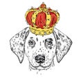 Beautiful puppy in the luxurious Crown. Vector illustration for a card or poster. Cute dog. Dalmatians - king.