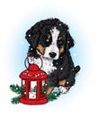 Beautiful puppy with a vintage Christmas lantern. Vector illustration. A pedigree dog in clothes and accessories.