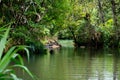 Masoala National Park landscape, Madagascar