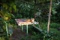 A large, domestic cat lies on a table in the garden near the house in the evening.