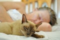 Pet cat sleeping on bed with mature older woman Royalty Free Stock Photo