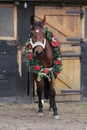 Dreamy image of a saddle horse wearing a beautiful christmas wreath at rural riding hall against barn door Royalty Free Stock Photo