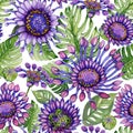 Beautiful purple African daisy flowers with green monstera leaves on white background. Seamless bright floral pattern.