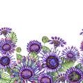 Beautiful purple African daizy flowers with exotic leaves on white background. Seamless floral pattern.