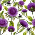 Beautiful purple aster flowers with green leaves on white background. Seamless summer floral pattern. Watercolor painting. Royalty Free Stock Photo