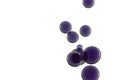 Dark purple bubbles flows together Royalty Free Stock Photo