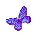 Beautiful purple butterfly with blue pattern on wings. Vector icon of flying insect. Element for card, notebook cover or Royalty Free Stock Photo