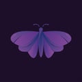 Beautiful purple butterfly logo, perfect for team or personal logos