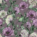Beautiful purple and chartreuse eustoma flowers lisianthus with leaves and closed buds. Seamless floral pattern.