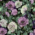 Beautiful purple and chartreuse eustoma flowers lisianthus with leaves and closed buds. Seamless floral pattern.