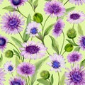 Beautiful purple daisy flowers with closed buds and leaves on bright green background. Seamless spring pattern.