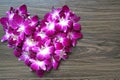 Beautiful purple dendrobium orchid heart symbol images