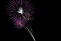 Beautiful Purple Fireworks Bursts Black Sky Royalty Free Stock Photo