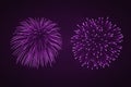 Beautiful Purple Fireworks Set. Bright Fireworks Isolated Black Background. Light Pink Decoration Fireworks For