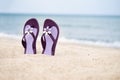 Beautiful purple flip-flops on the beach