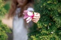 Beautiful purple flower close up. magnolia tree in blossom. outdoor child girl in spring park with blossoming flowers. selective Royalty Free Stock Photo