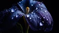 Beautiful purple flower with raindrops created with generative AI technology Royalty Free Stock Photo