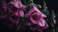 Beautiful purple flower with raindrops created with generative AI technology Royalty Free Stock Photo