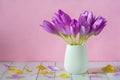 Beautiful purple flowers of autumn crocuses colchicum autumnal in a vase on a pink background