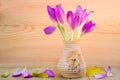 Beautiful purple flowers of autumn crocuses colchicum autumnal in a vase on a wooden background