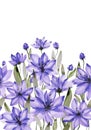 Beautiful purple flowers with green stems and leaves on white background. Seamless floral pattern. Watercolor painting. Royalty Free Stock Photo