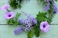 Beautiful purple flowers Royalty Free Stock Photo