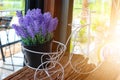 Beautiful purple flowers in vintage style wrought iron pots with light from the window. With blurred background
