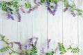 Beautiful purple flowers on a white wooden background with space for a congratulatory inscription. Frame for greeting banner,