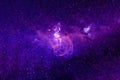 Beautiful purple galaxy in deep space. Elements of this image furnished by NASA were Royalty Free Stock Photo