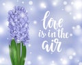Beautiful purple hyacinth. Spring is in the air. Hand drawn brush pen lettering. design greeting card and invitation of the weddin