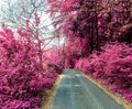 Beautiful purple infrared landscape in high resolution